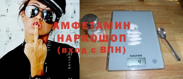 твердый Гусев