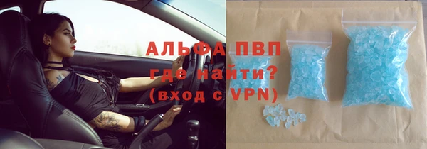 твердый Гусев