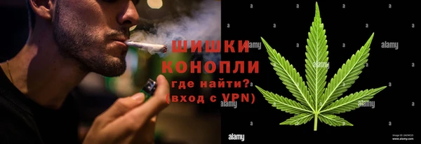 твердый Гусев