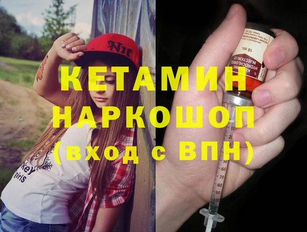 твердый Гусев