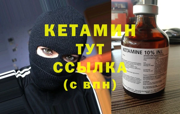 твердый Гусев