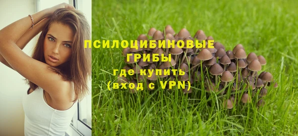 spice Гусь-Хрустальный