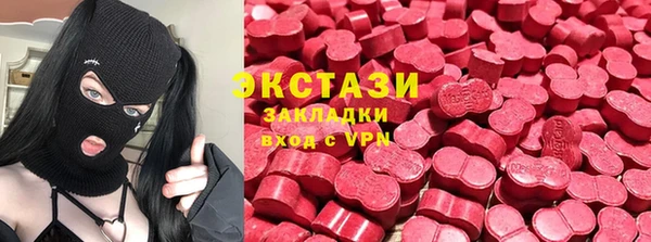 твердый Гусев
