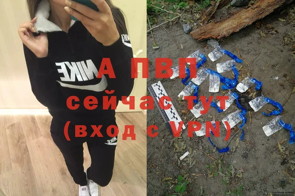 твердый Гусев