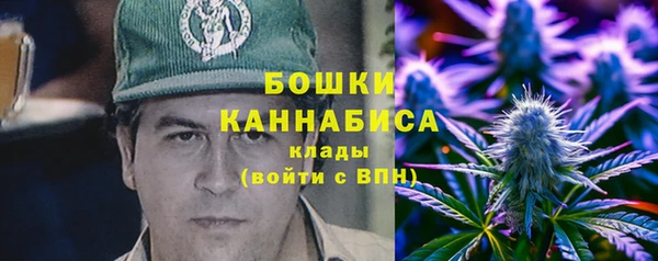 spice Гусиноозёрск