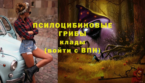 spice Гусь-Хрустальный