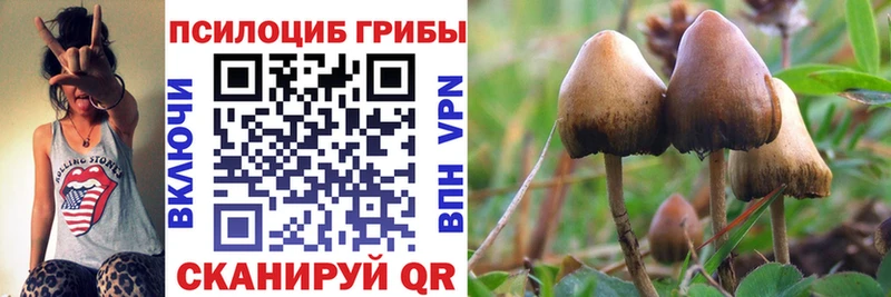 Галлюциногенные грибы MAGIC MUSHROOMS  Купить где  Новоаннинский 
